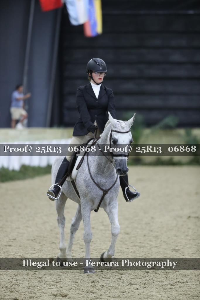 Proof Number 25R13_06868