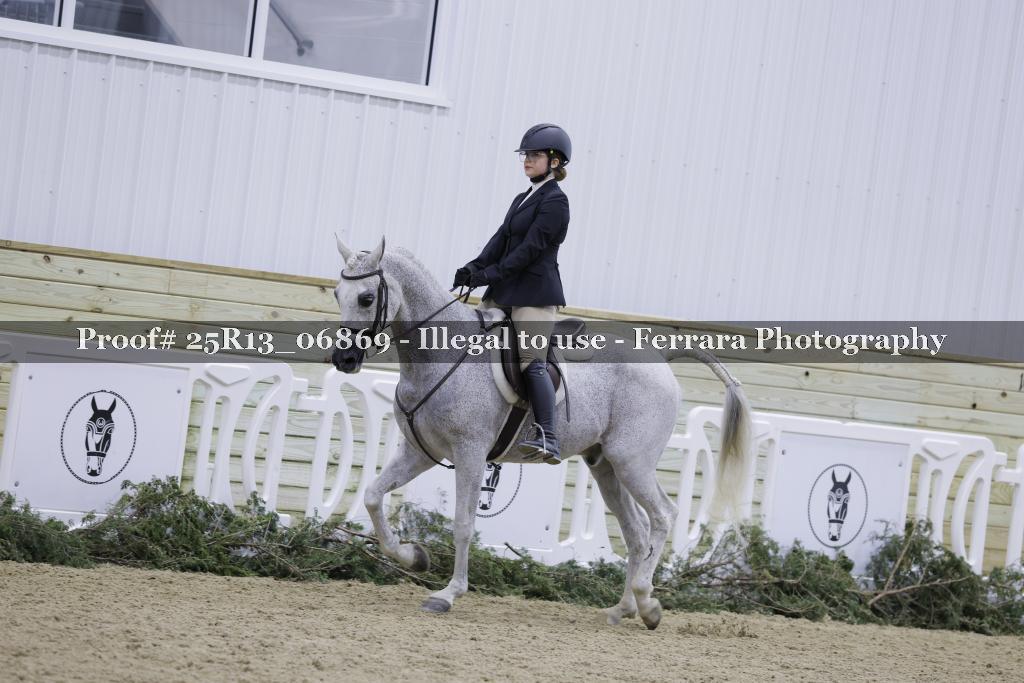 Proof Number 25R13_06869