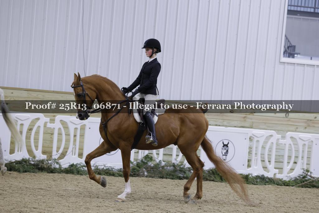 Proof Number 25R13_06871