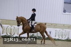 25R13_06871 thumbnail