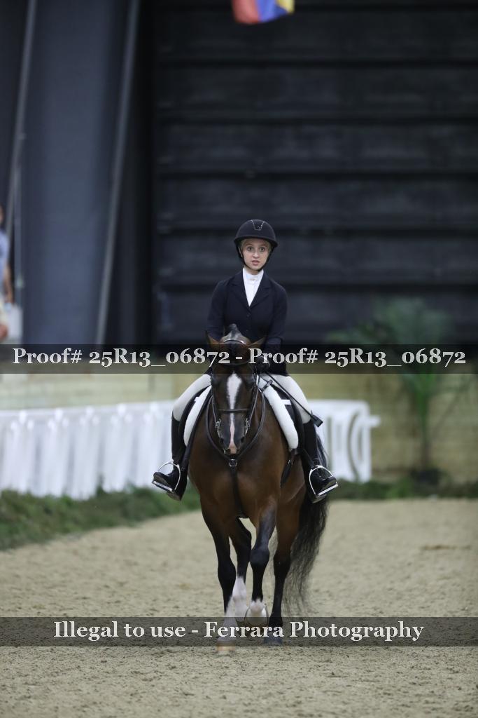 Proof Number 25R13_06872