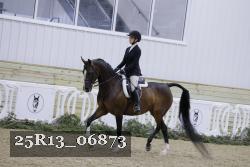 25R13_06873 thumbnail