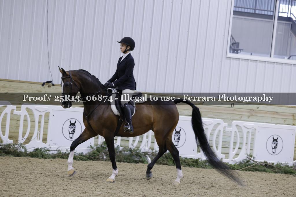 Proof Number 25R13_06874