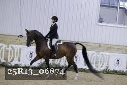 25R13_06874 thumbnail