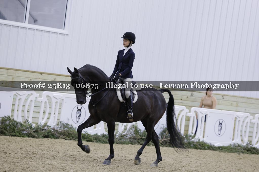 Proof Number 25R13_06875