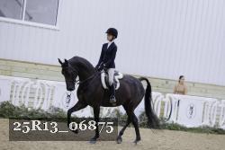25R13_06875 thumbnail
