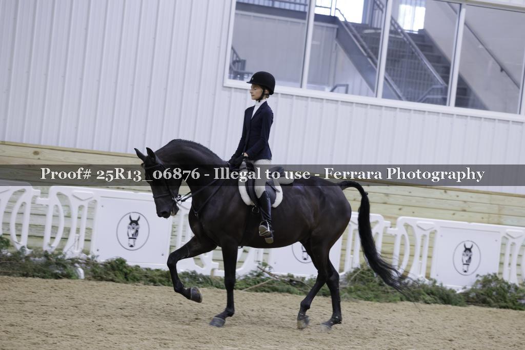 Proof Number 25R13_06876