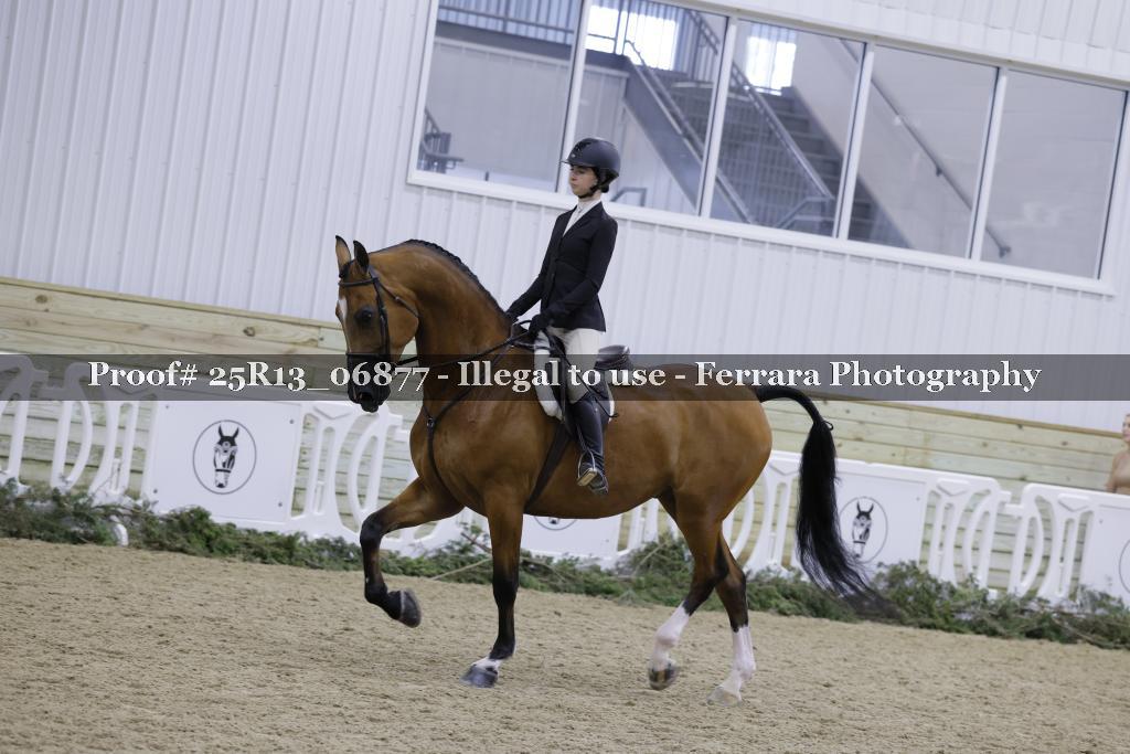 Proof Number 25R13_06877