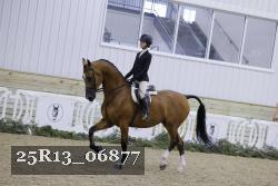 25R13_06877 thumbnail