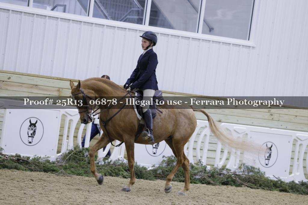 Proof Number 25R13_06878