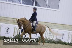 25R13_06878 thumbnail