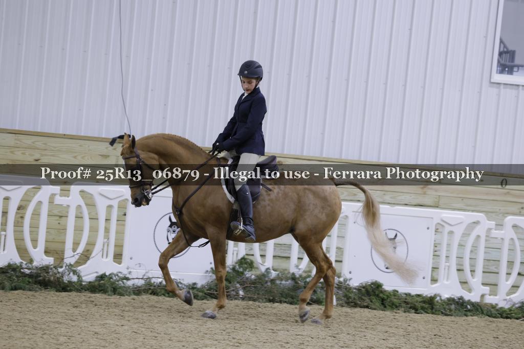 Proof Number 25R13_06879