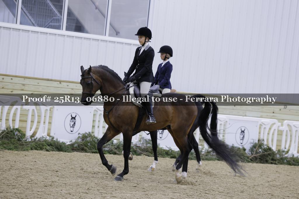 Proof Number 25R13_06880