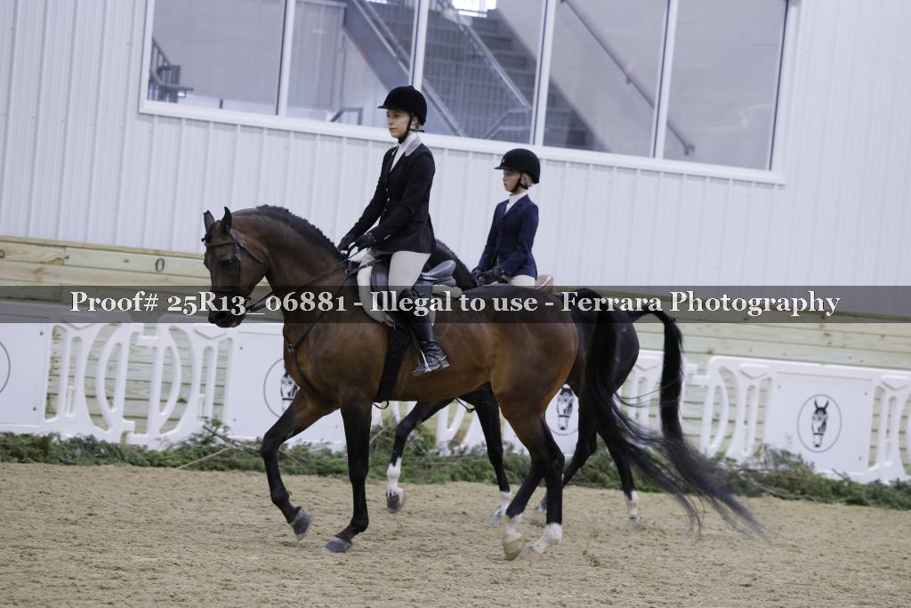 Proof Number 25R13_06881