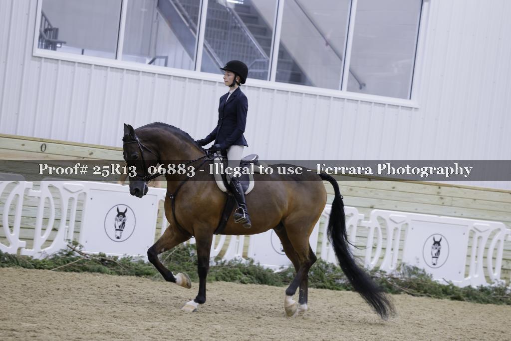 Proof Number 25R13_06883
