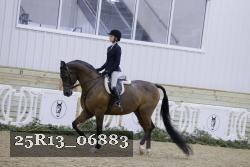 25R13_06883 thumbnail
