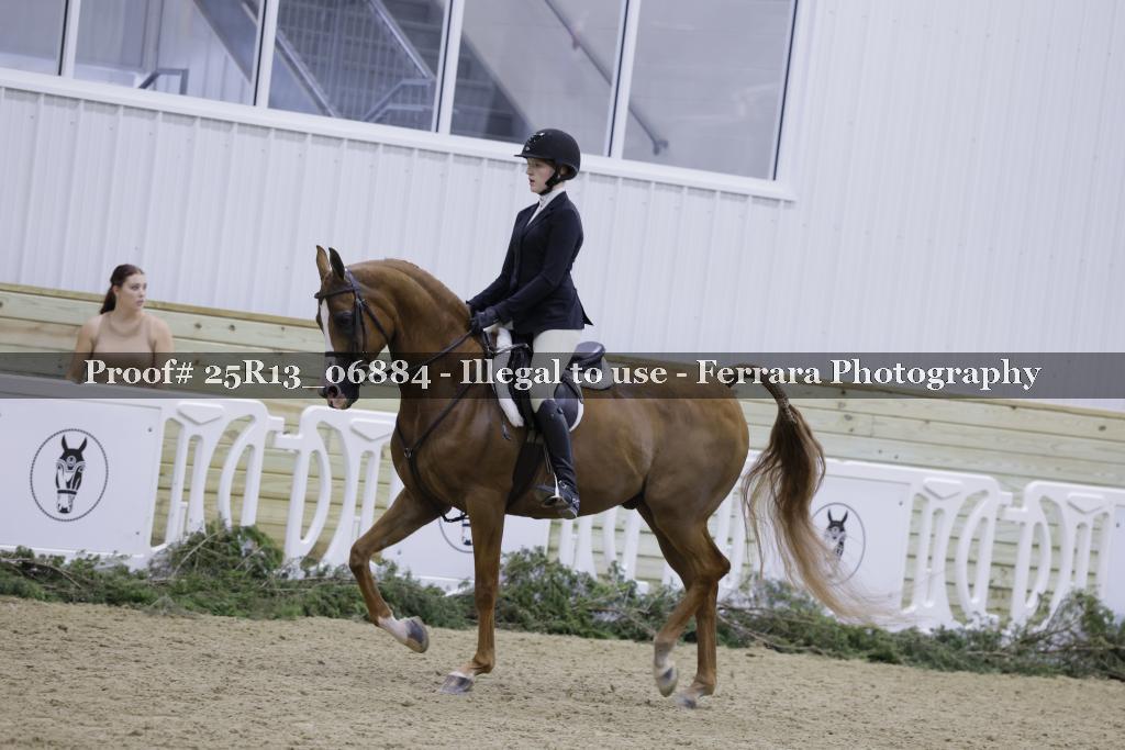 Proof Number 25R13_06884
