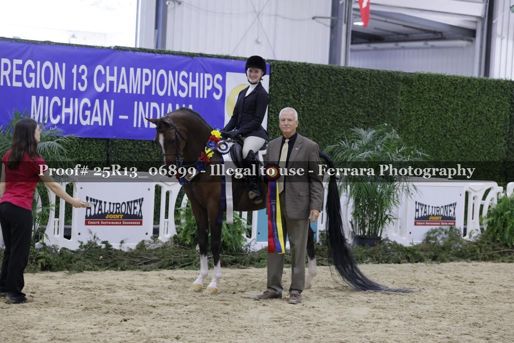 Proof Number 25R13_06899