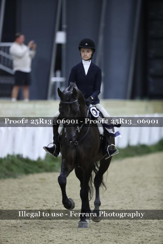 Proof Number 25R13_06901