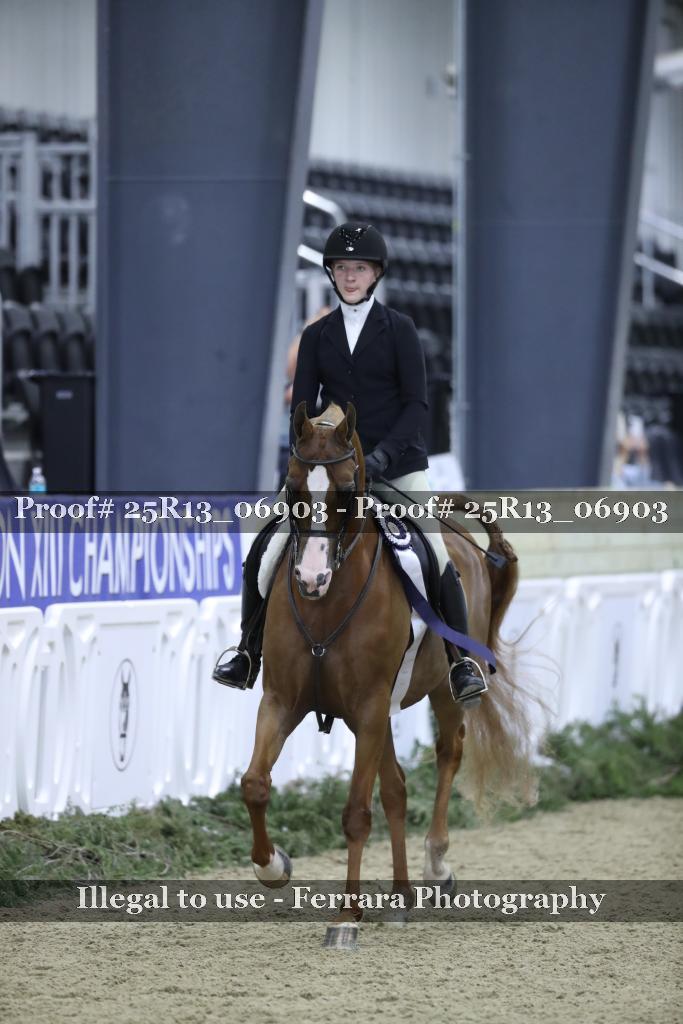 Proof Number 25R13_06903