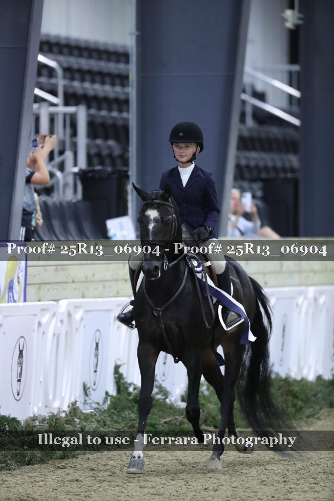Proof Number 25R13_06904