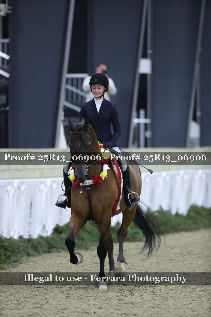 Proof Number 25R13_06906
