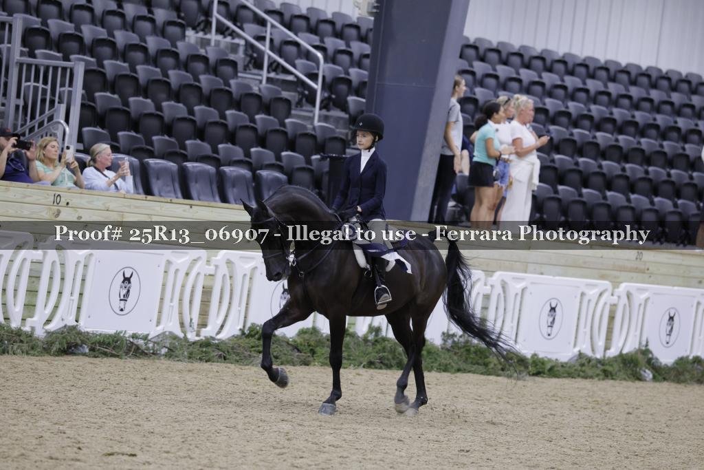 Proof Number 25R13_06907