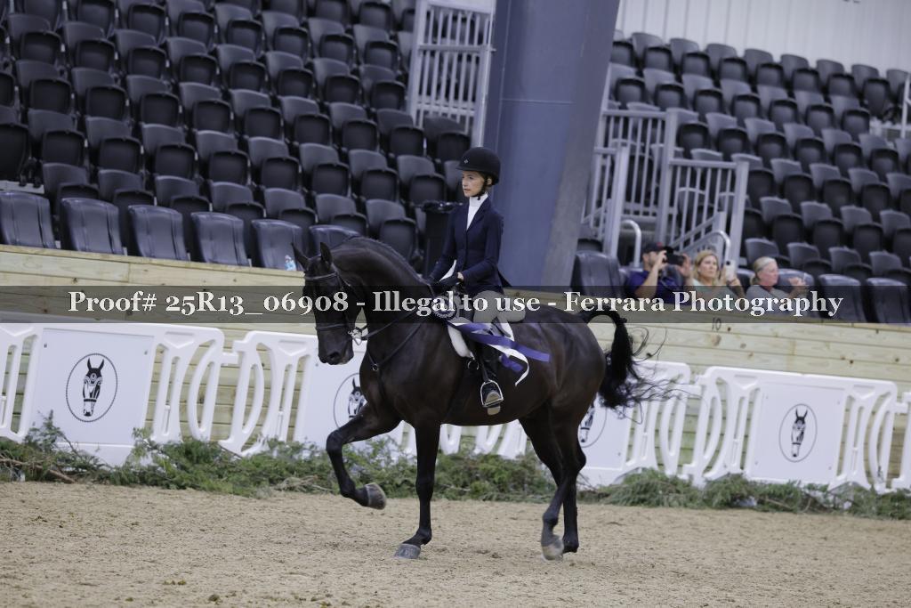 Proof Number 25R13_06908