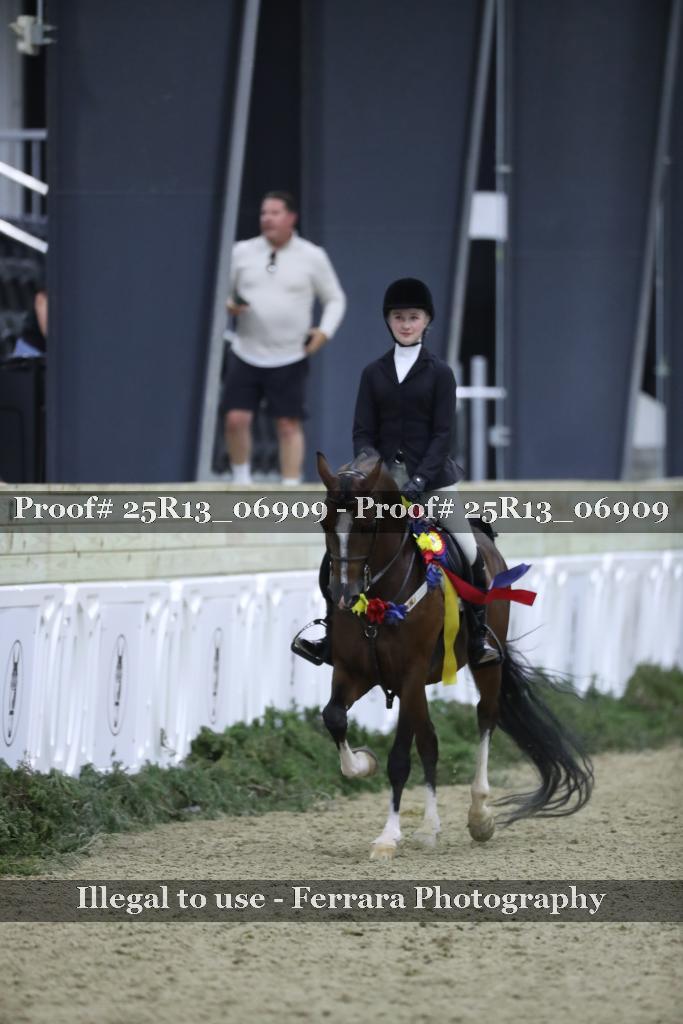 Proof Number 25R13_06909