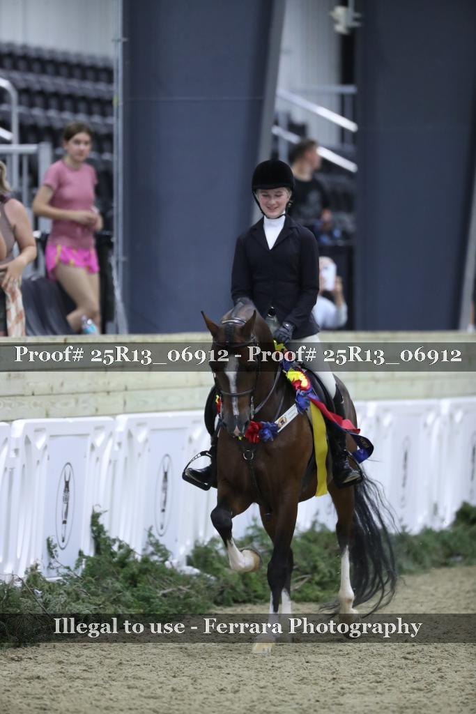 Proof Number 25R13_06912