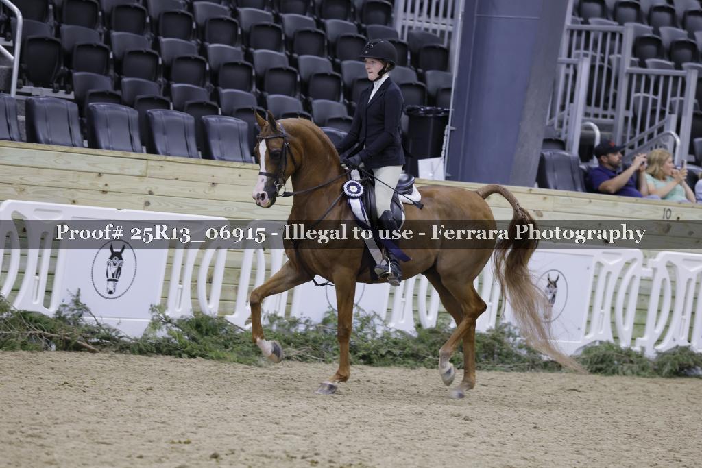 Proof Number 25R13_06915