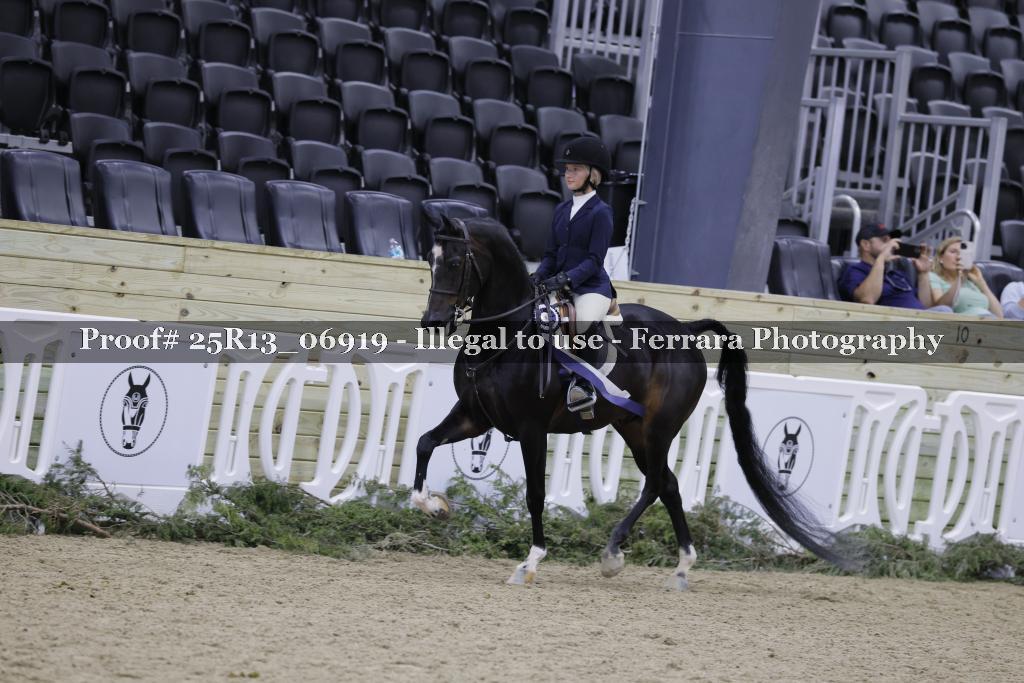 Proof Number 25R13_06919