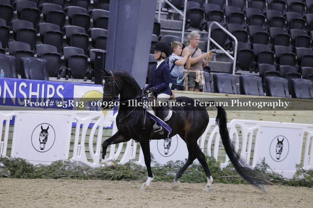 Proof Number 25R13_06920