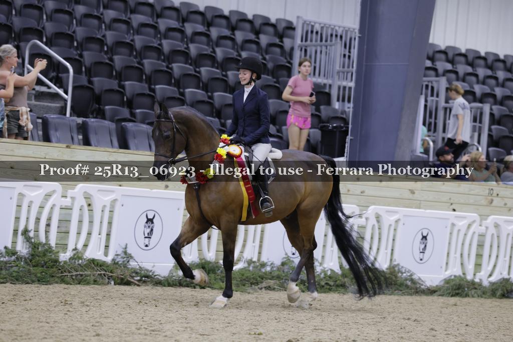 Proof Number 25R13_06923
