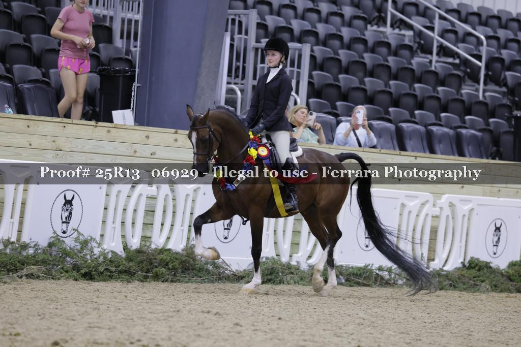 Proof Number 25R13_06929