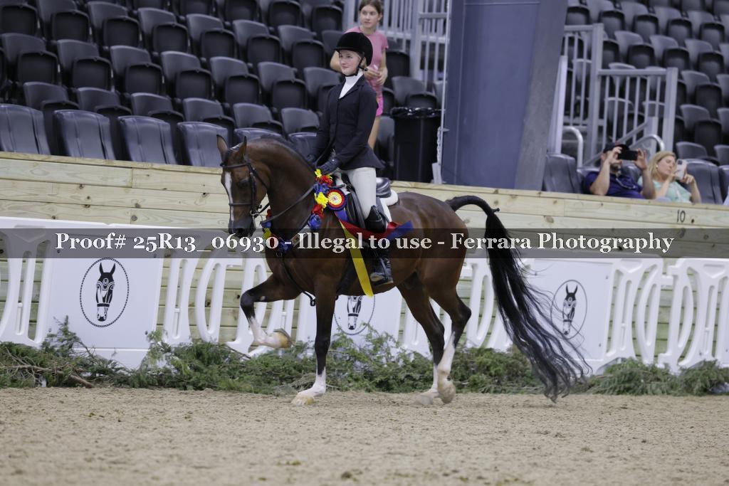 Proof Number 25R13_06930