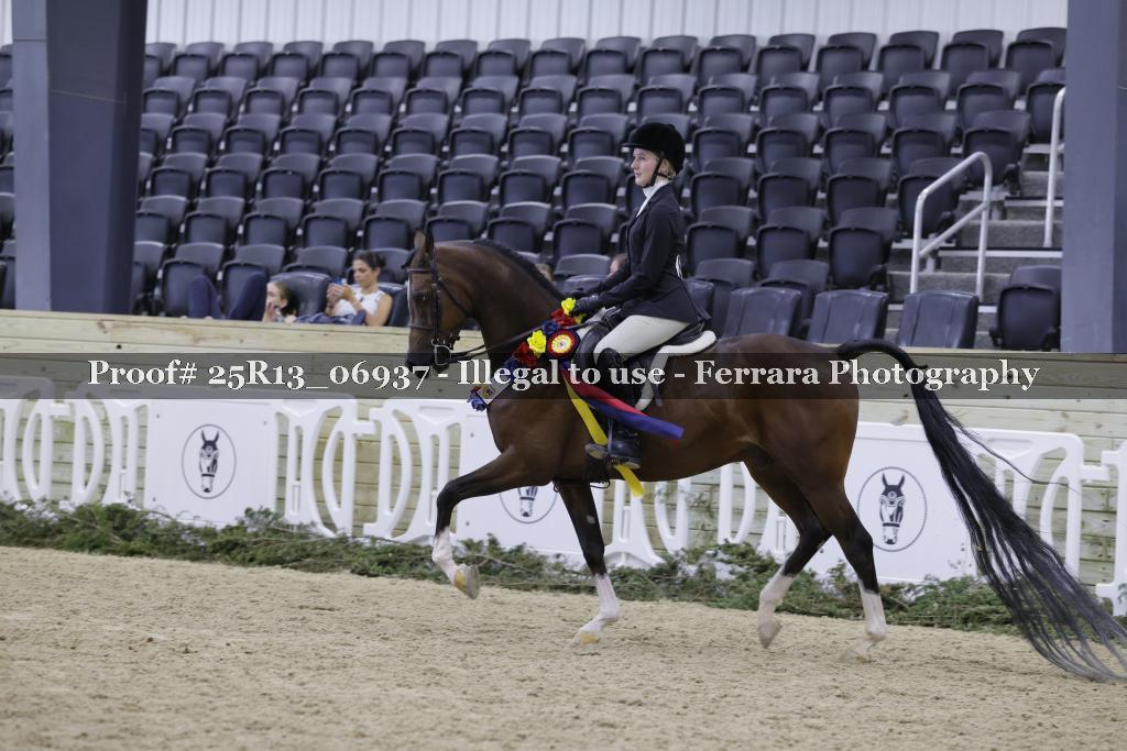 Proof Number 25R13_06937