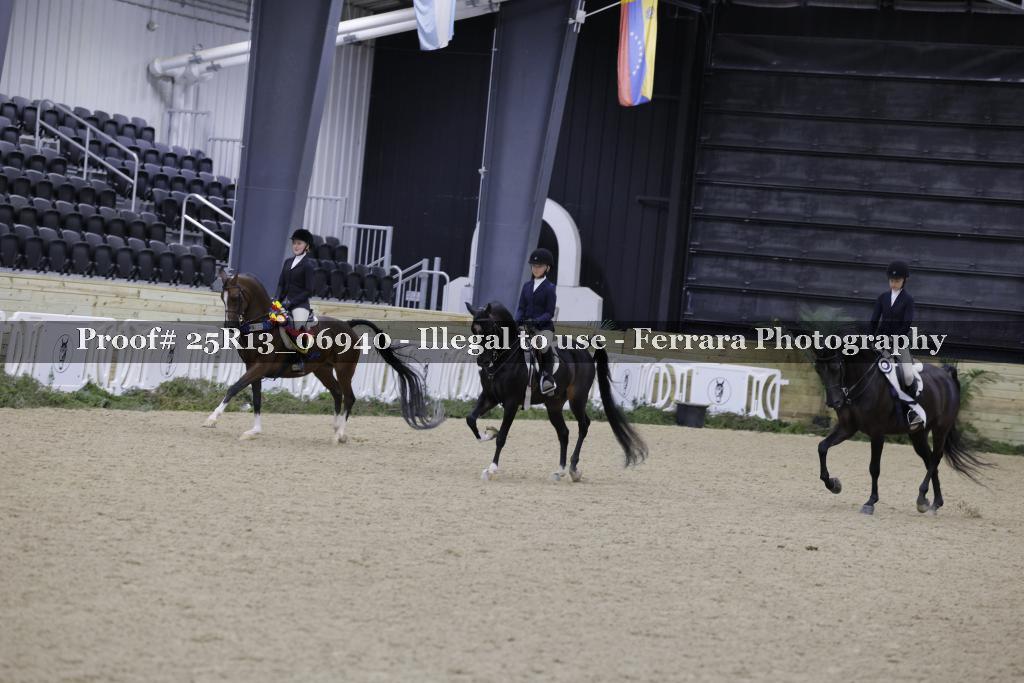 Proof Number 25R13_06940