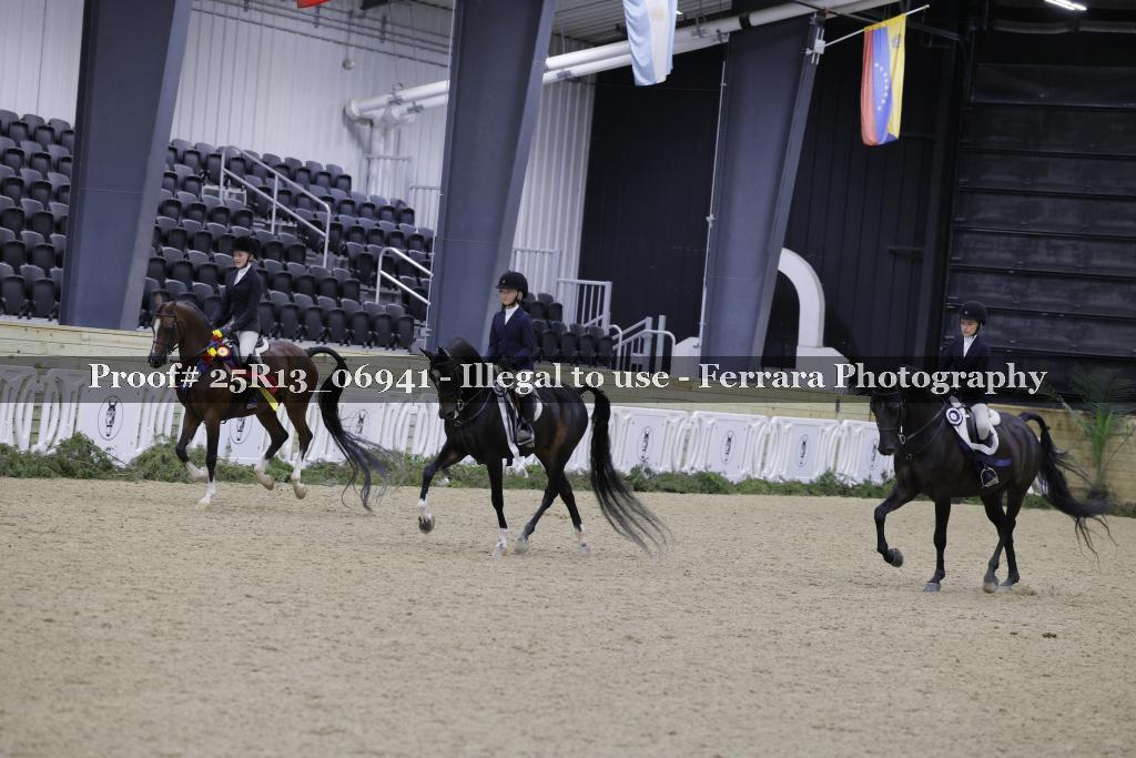 Proof Number 25R13_06941