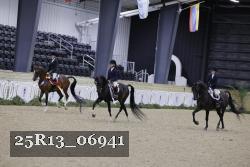 25R13_06941 thumbnail