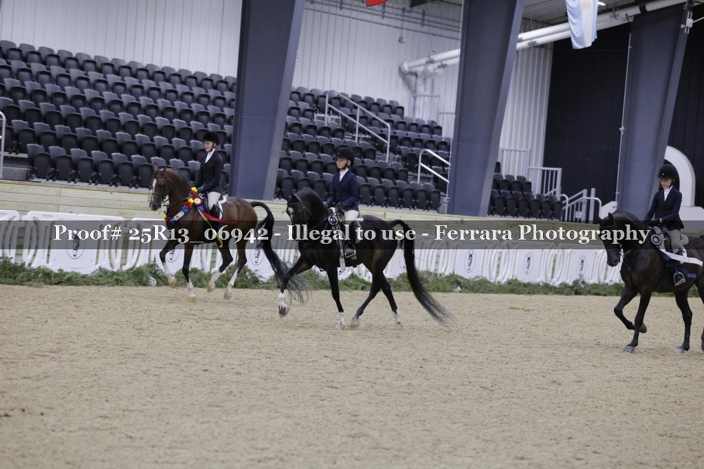 Proof Number 25R13_06942