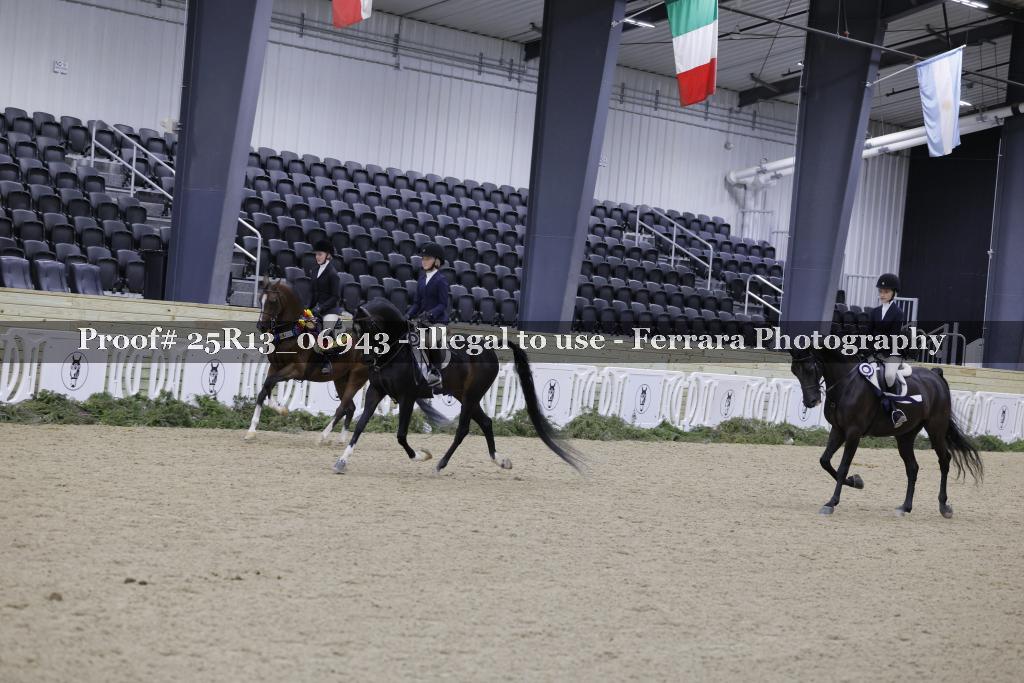 Proof Number 25R13_06943