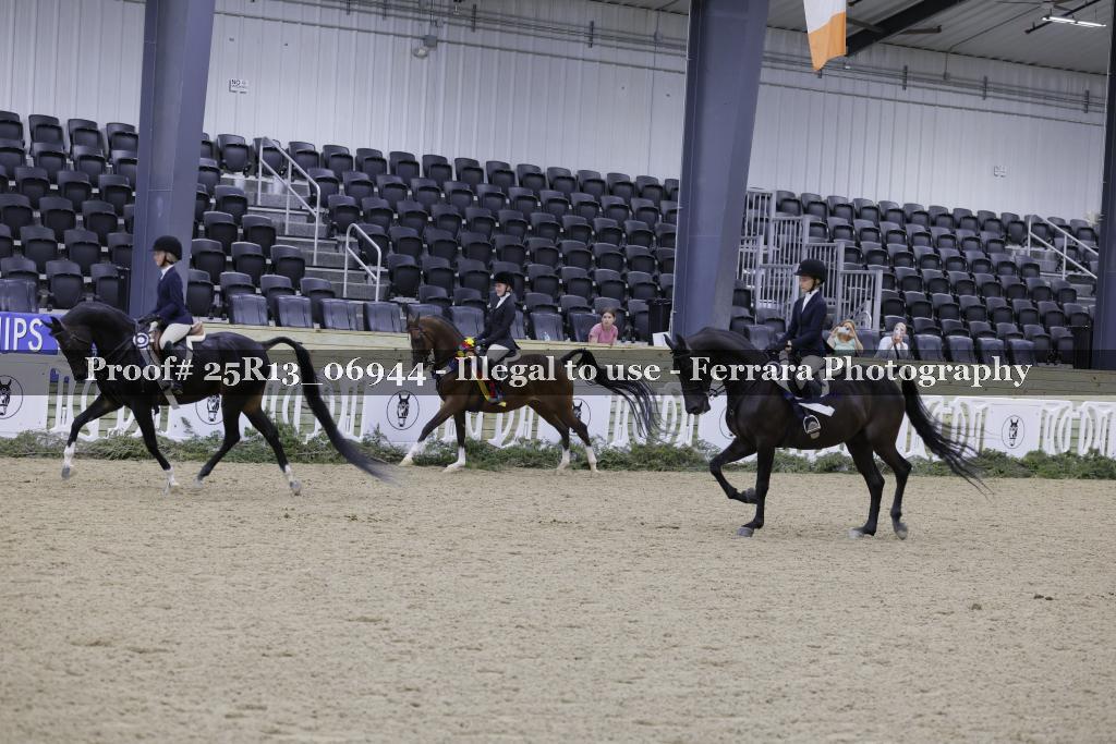 Proof Number 25R13_06944