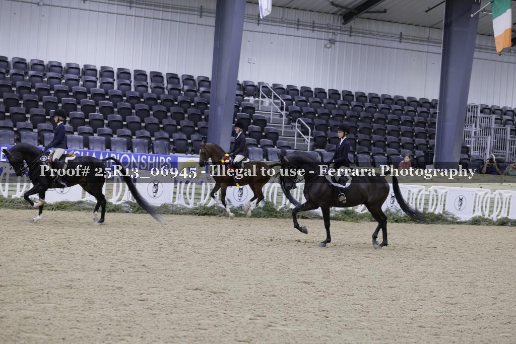 Proof Number 25R13_06945