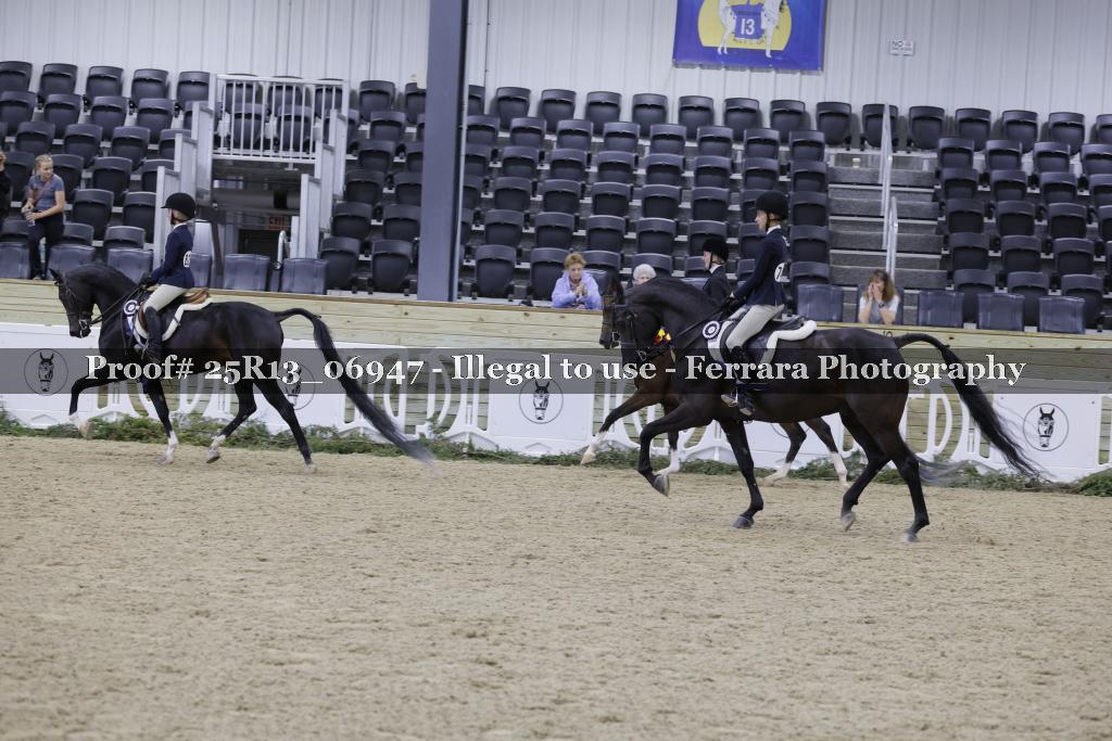 Proof Number 25R13_06947
