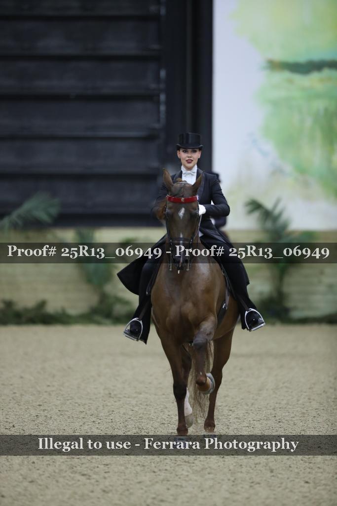 Proof Number 25R13_06949