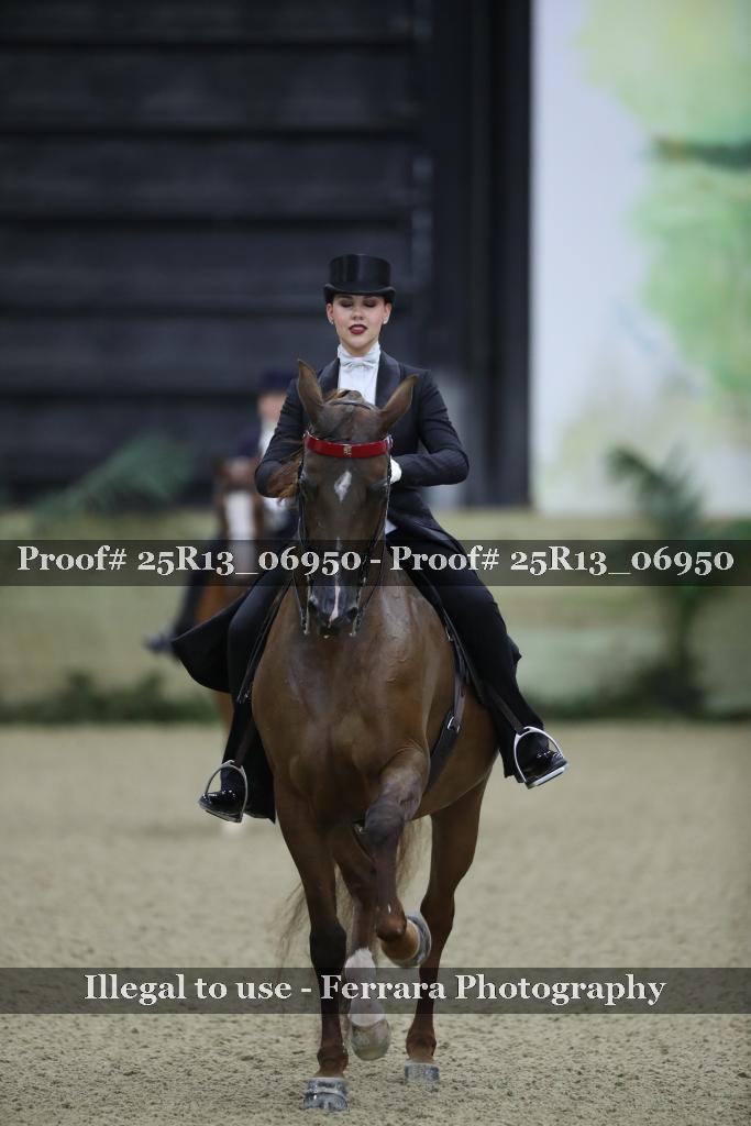 Proof Number 25R13_06950