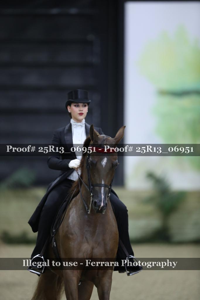 Proof Number 25R13_06951