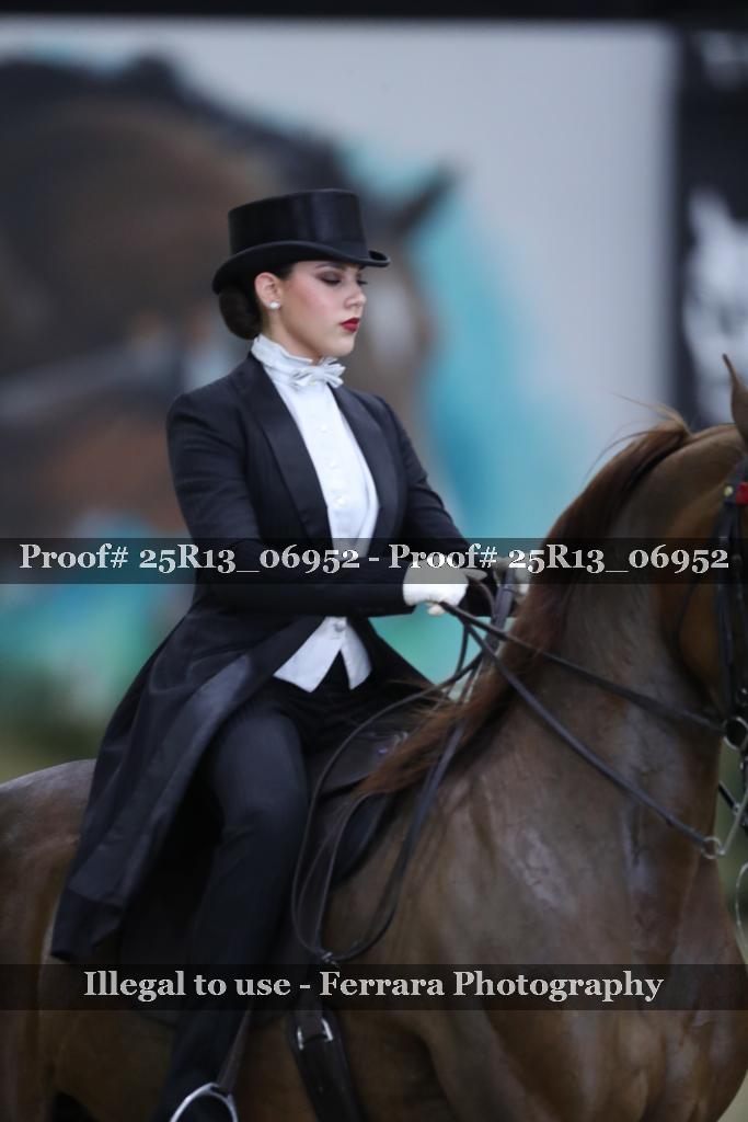 Proof Number 25R13_06952