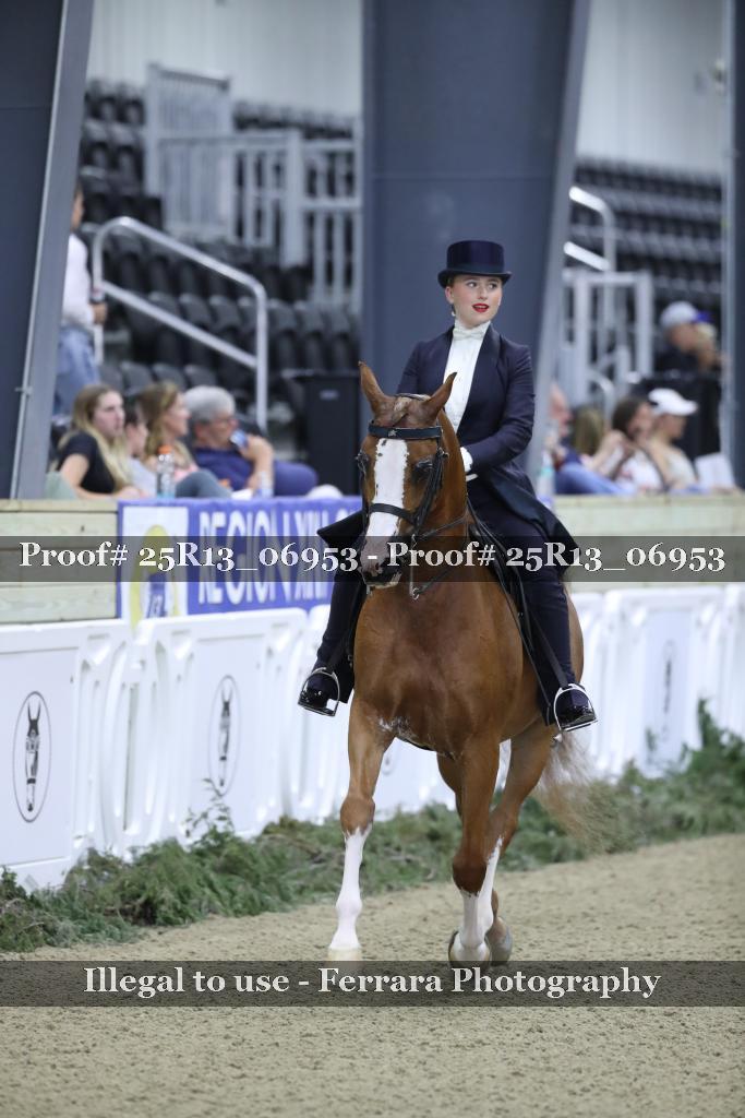 Proof Number 25R13_06953